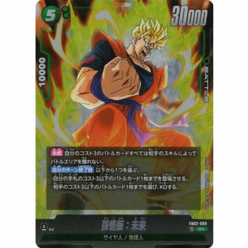 Dragon Ball Super - Son Gohan : Future - FB02-089 [SR]